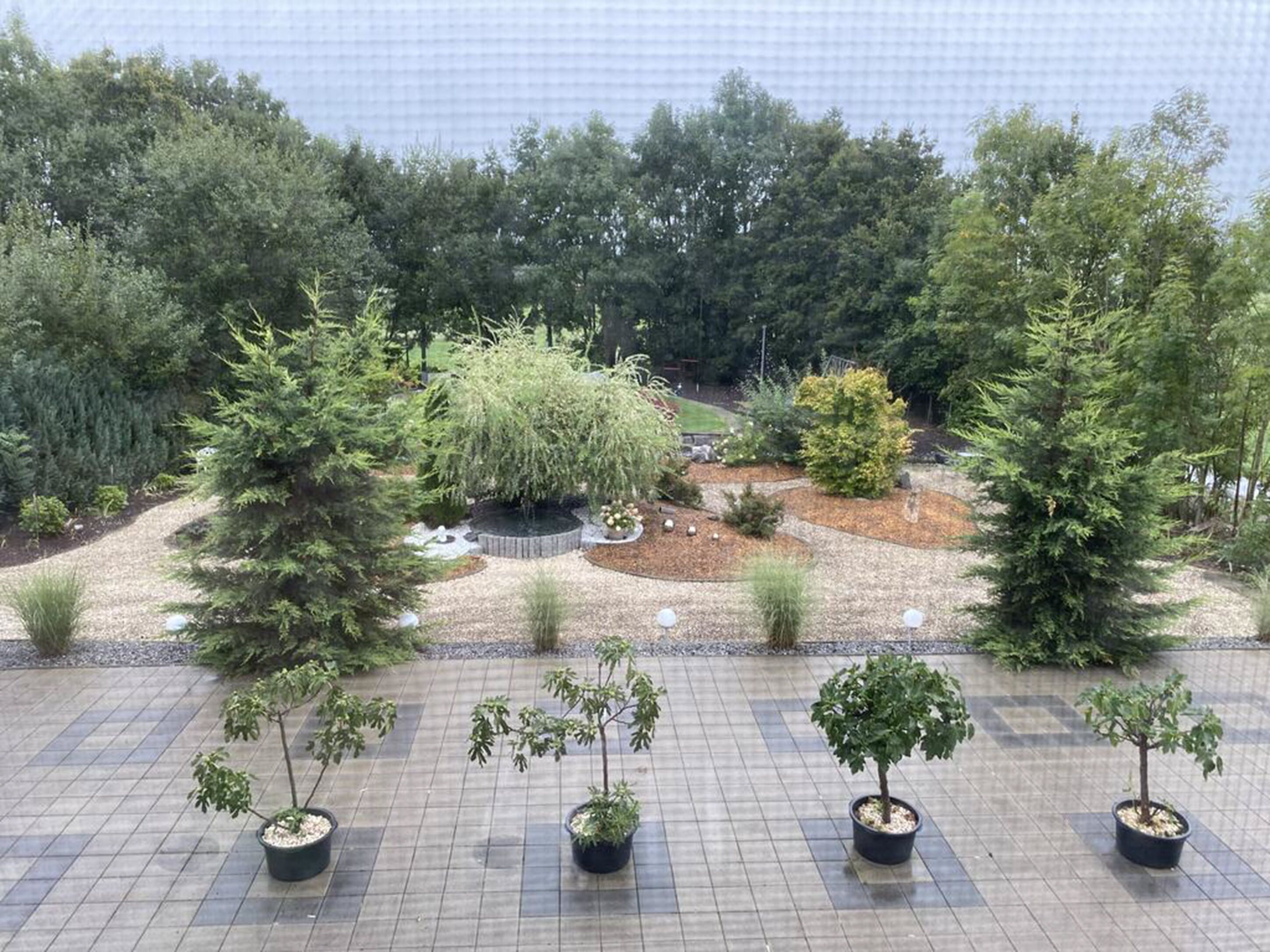 business single room | garden view