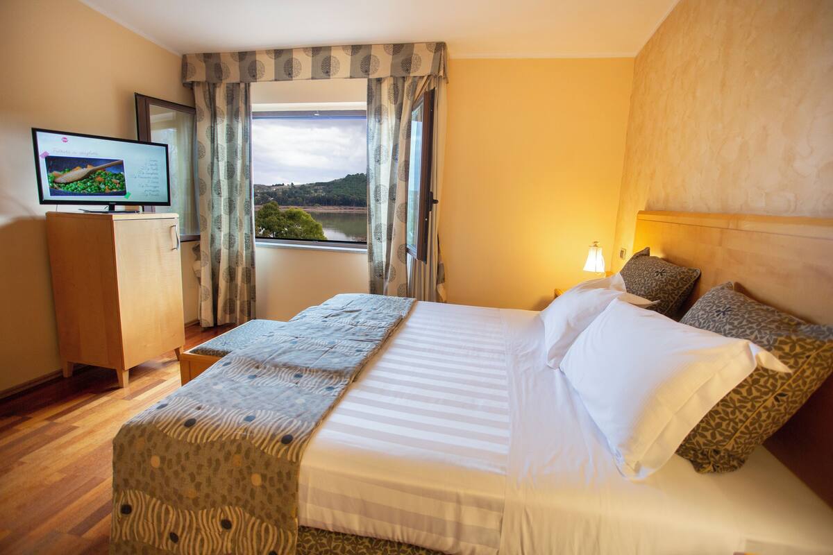 Une chambre d’hôtel avec un lit, une télévision, une fenêtre avec des rideaux et une vue sur un paysage.