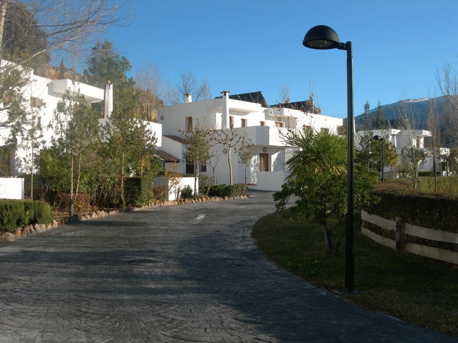A paved pathway leading to a white building with multiple windows and a door, surrounded by greenery and a lamp post.