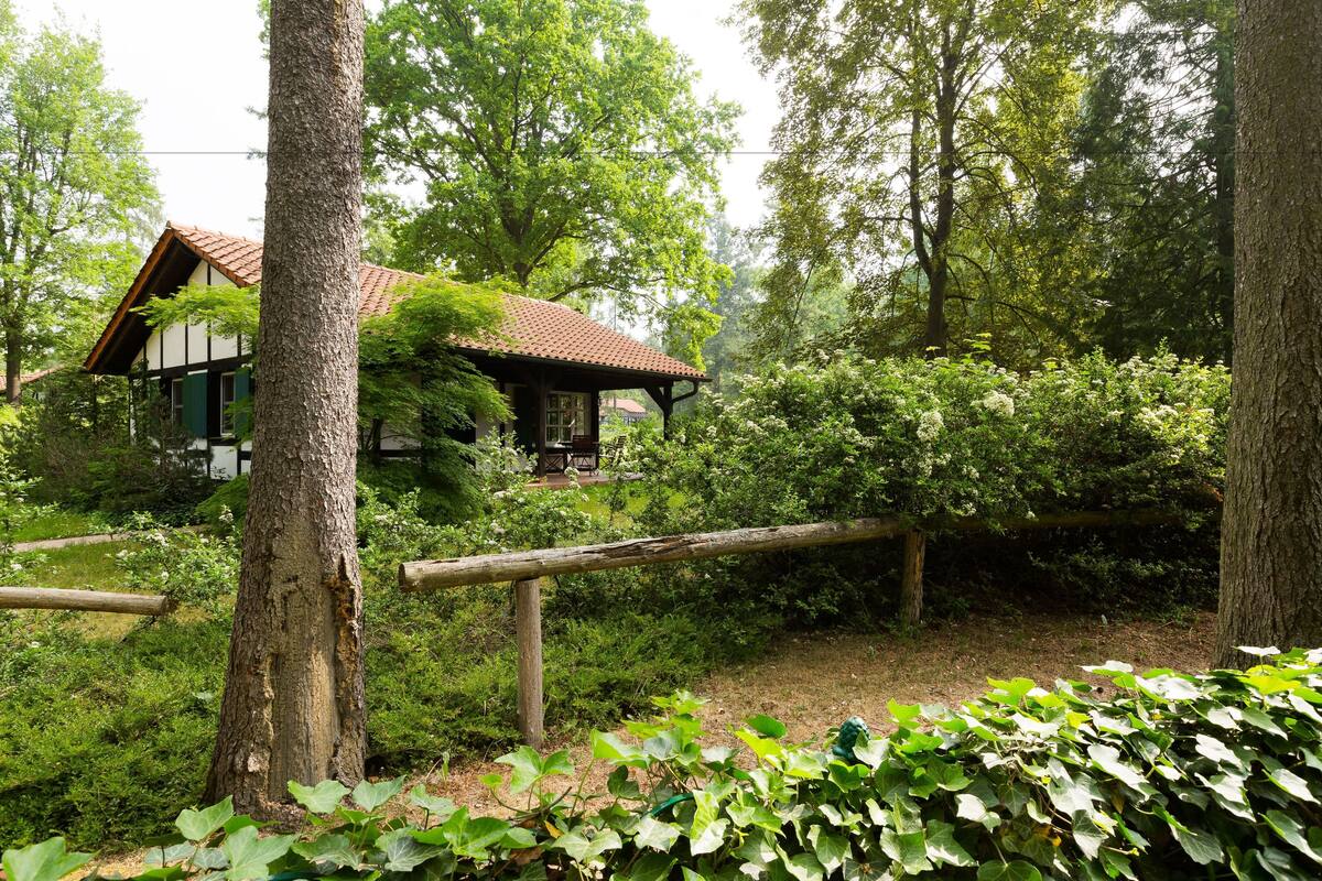 Une maison en bois à l’allure rustique, entourée d’une végétation luxuriante et d’arbres.