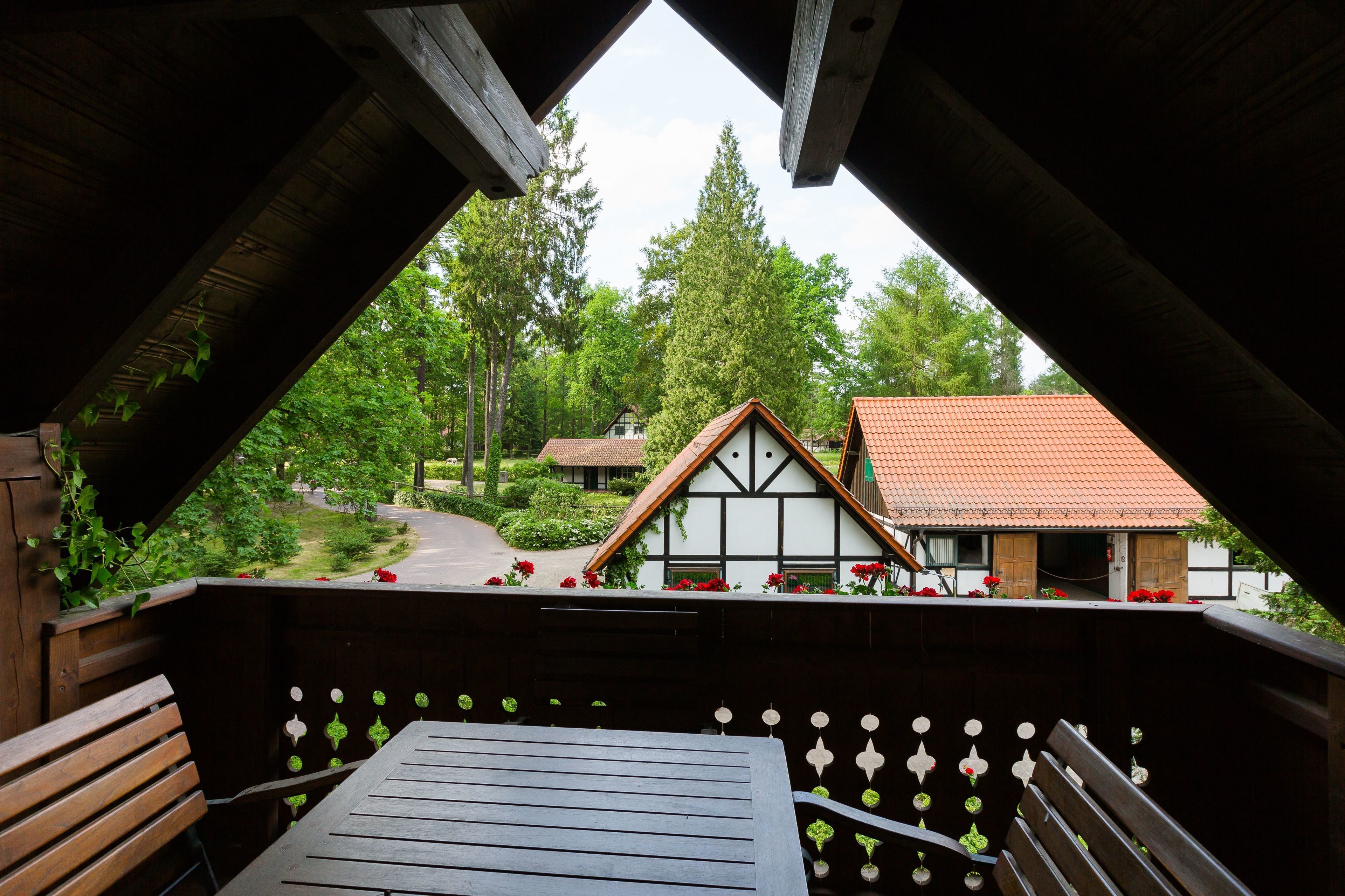 apartment, 2 bedrooms, kitchenette (zirbelwohnung) | view from room