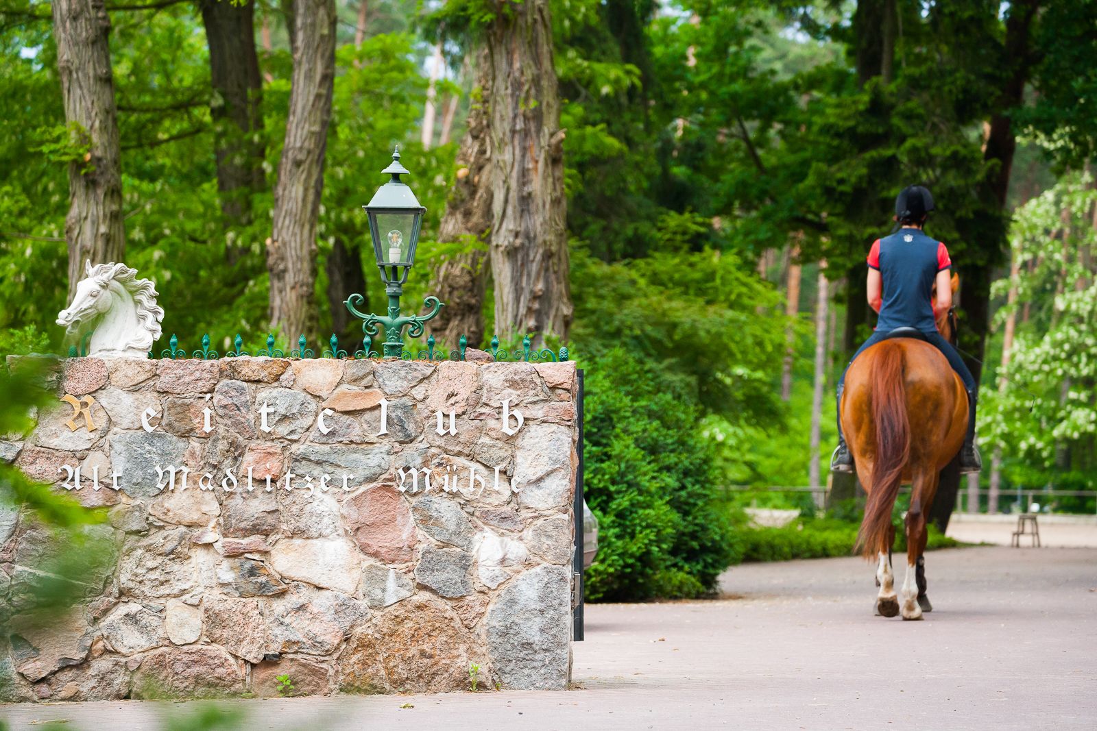A stone wall with a horse statue and a street lamp, with a person riding a horse on a paved path surrounded by trees.