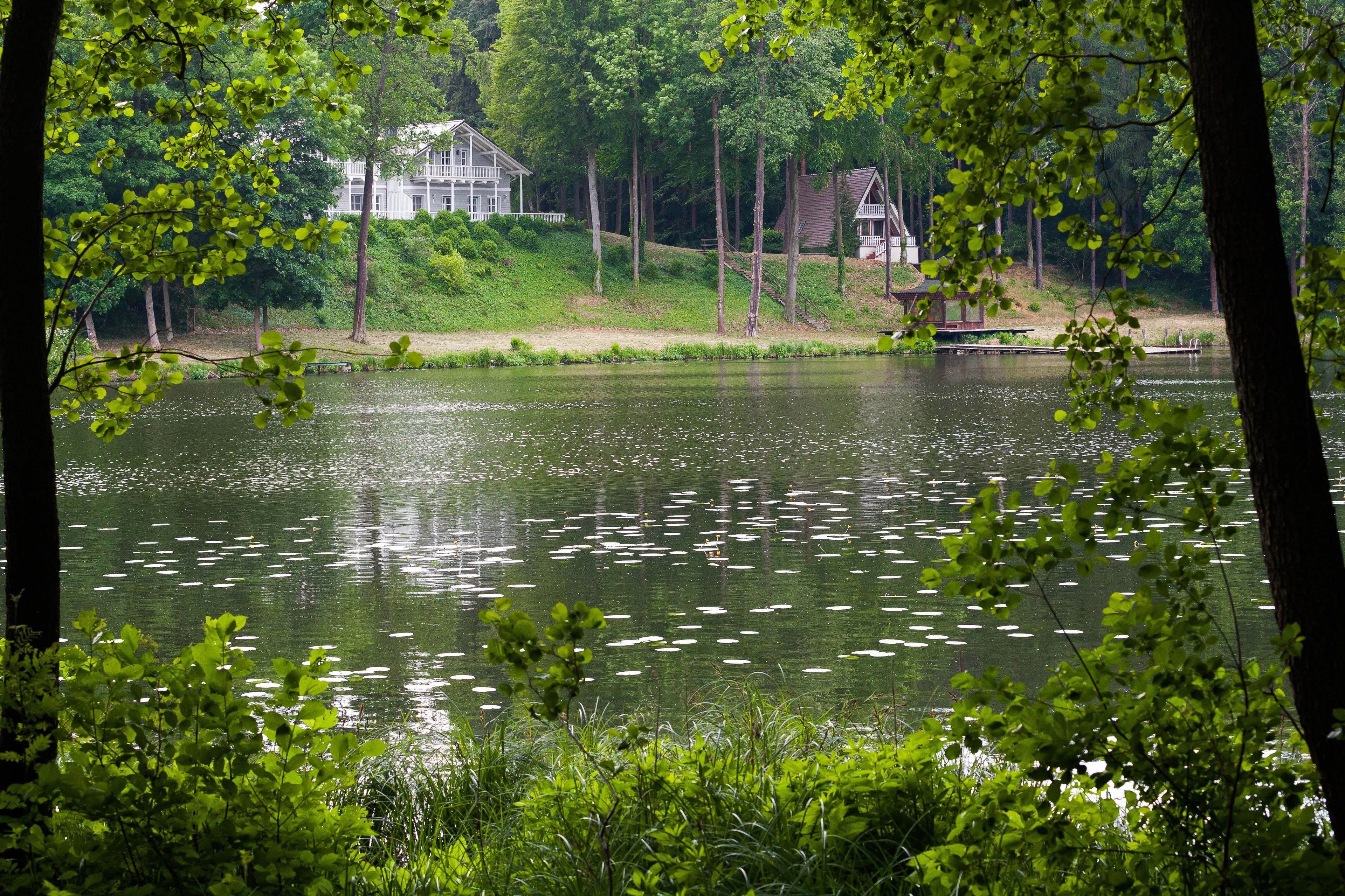 A serene lakeside view with two houses, one larger and one smaller, surrounded by lush greenery and trees.