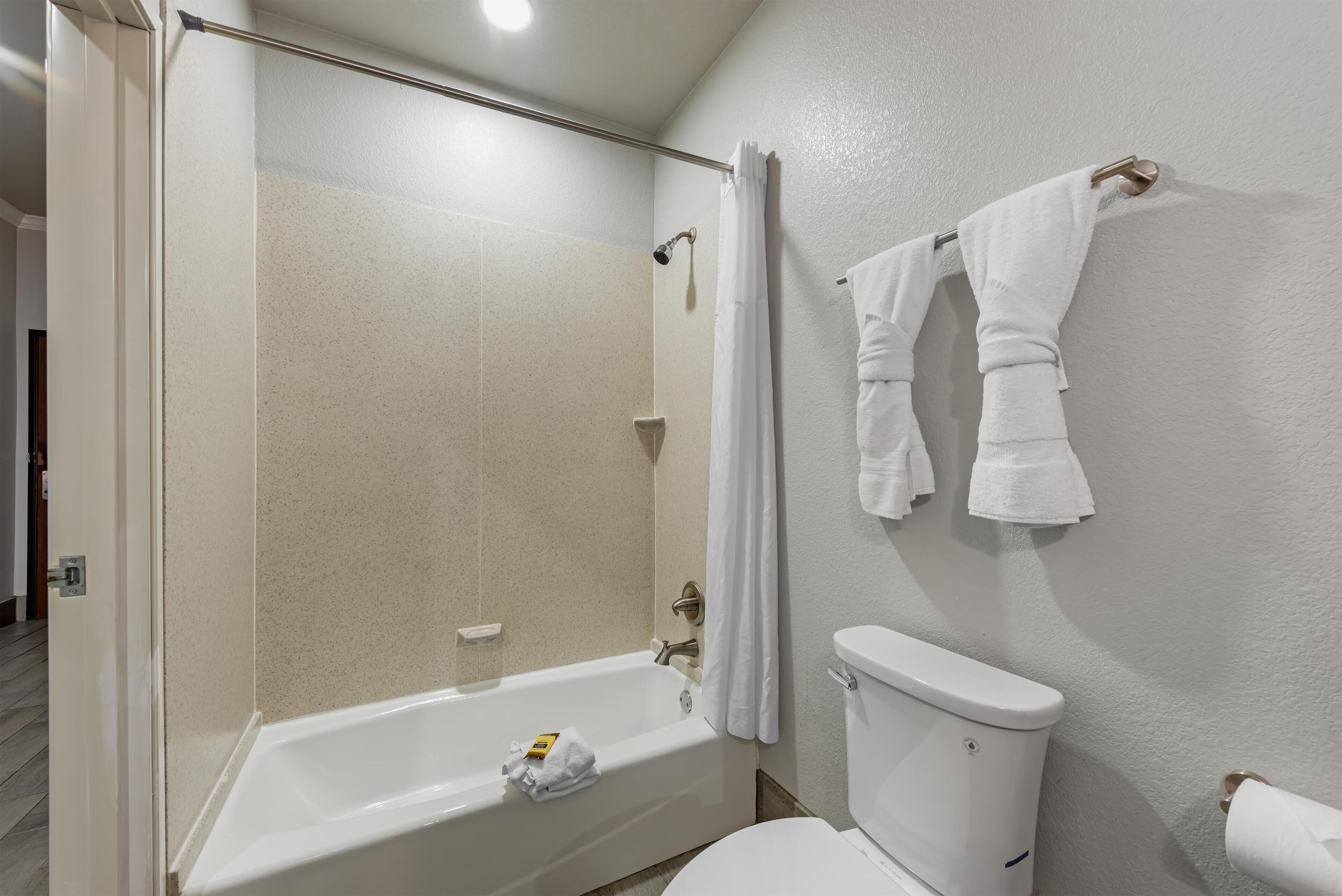 Suite, 1 King Bed, Non Smoking, Refrigerator & Microwave (with Sofabed) | Bathroom