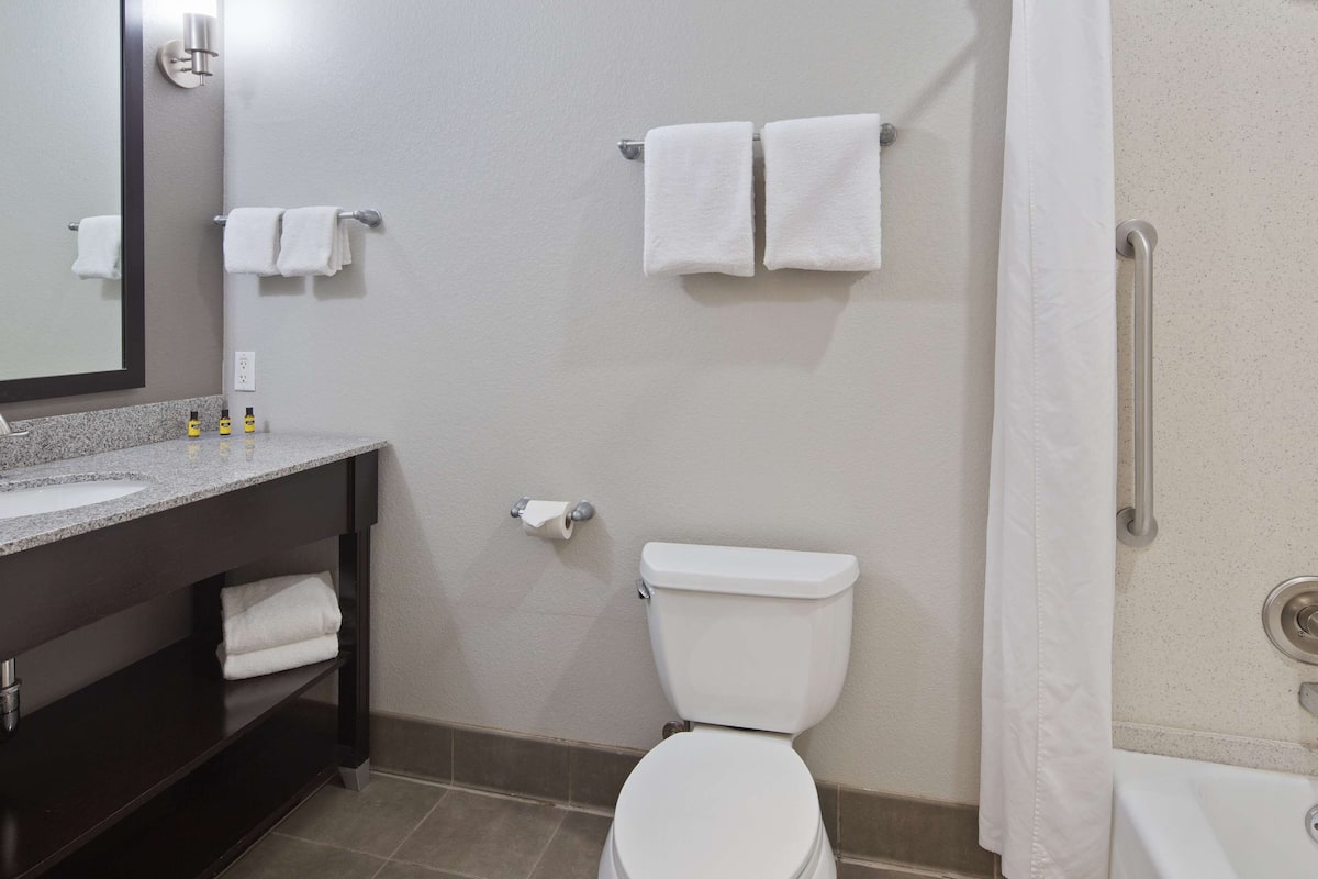 combined shower/bathtub, free toiletries, hair dryer, towels