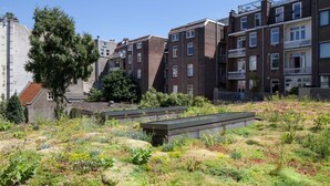 A residential building with multiple floors, balconies, and a garden area with raised planters. - Conscious Hotel Vondelpark (Amsterdam)