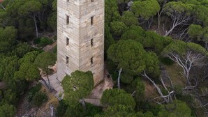 A stone tower surrounded by dense forest.