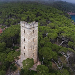 A stone tower surrounded by dense forest.