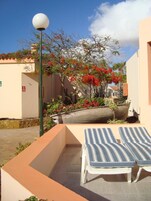 Un espacio al aire libre con asientos iluminados por el sol, sillones a rayas, una farola y una maceta grande con flores rojas.
