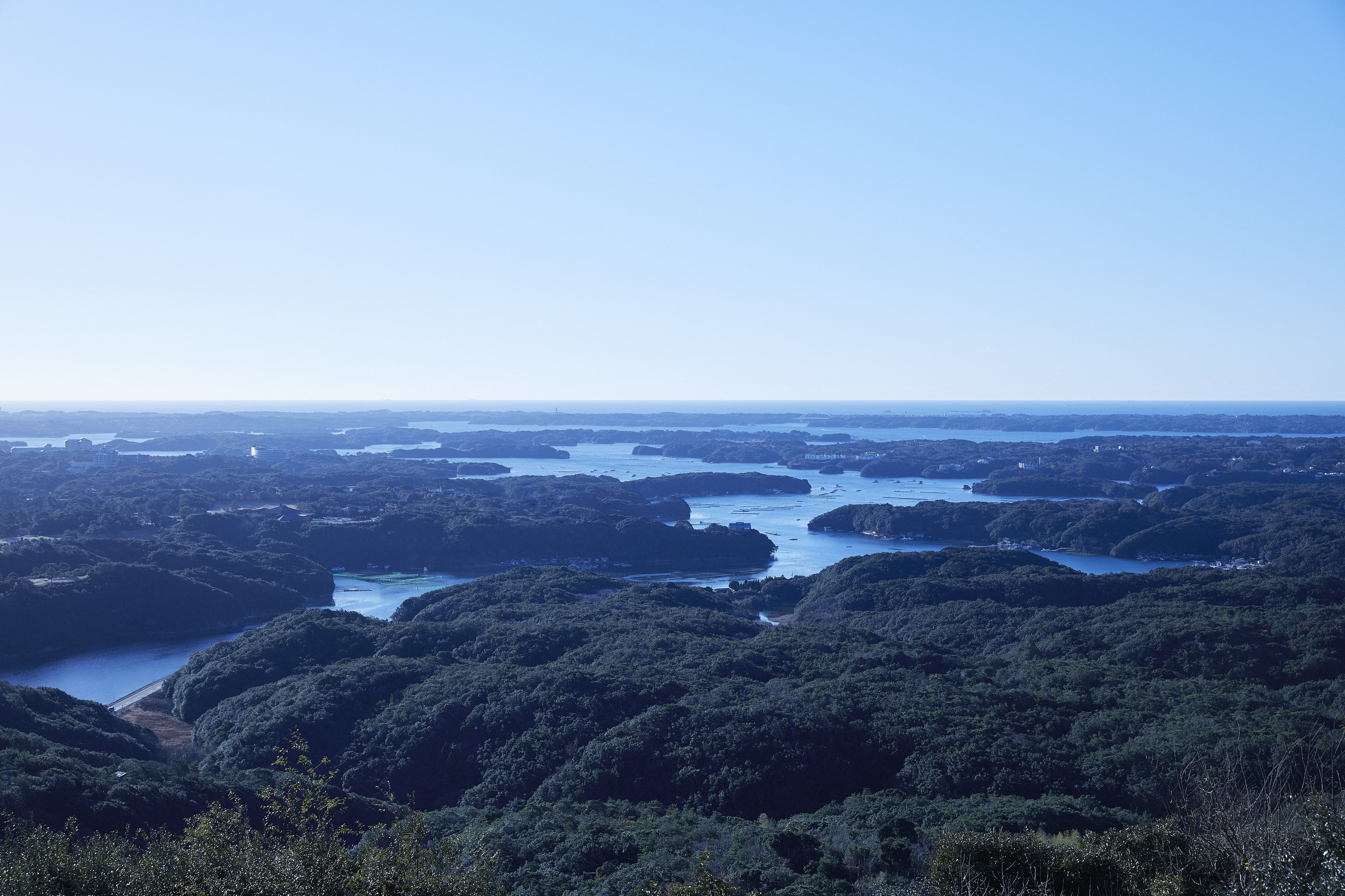 A panoramic view of a coastal landscape with dense forested areas and multiple water bodies.