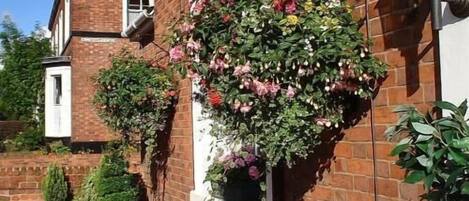 A brick house with a window box filled with flowering plants.