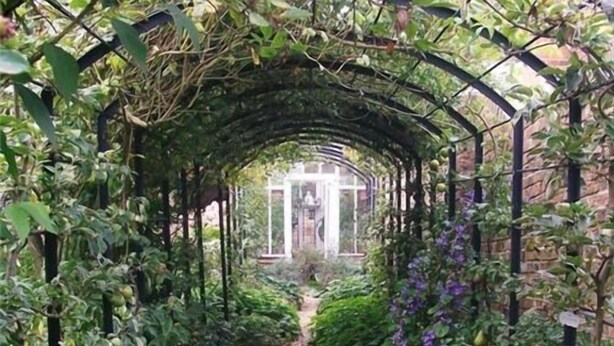 A garden pathway with a glass structure in the center, surrounded by lush greenery and climbing plants.