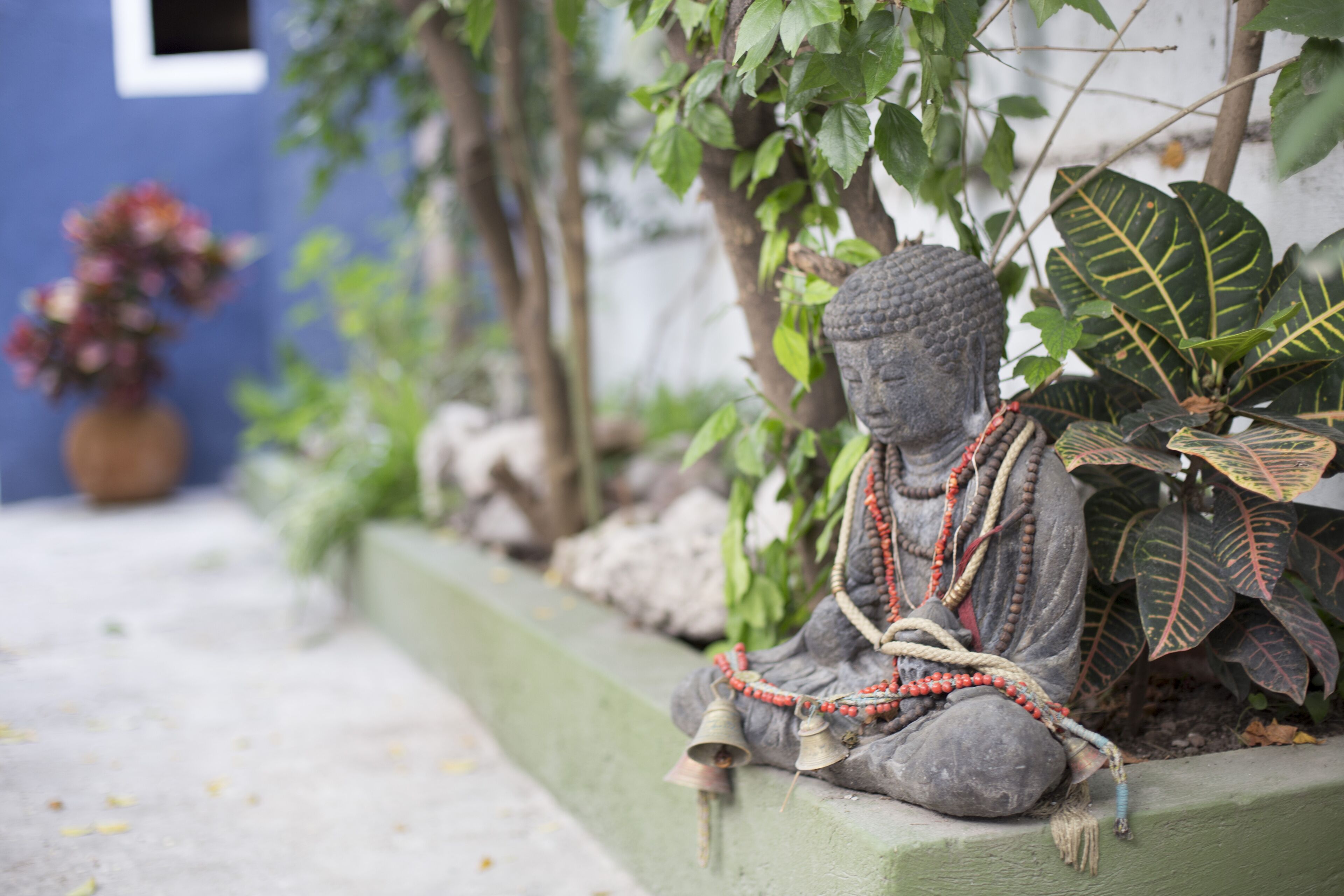 Photo - La Casa del Atrio