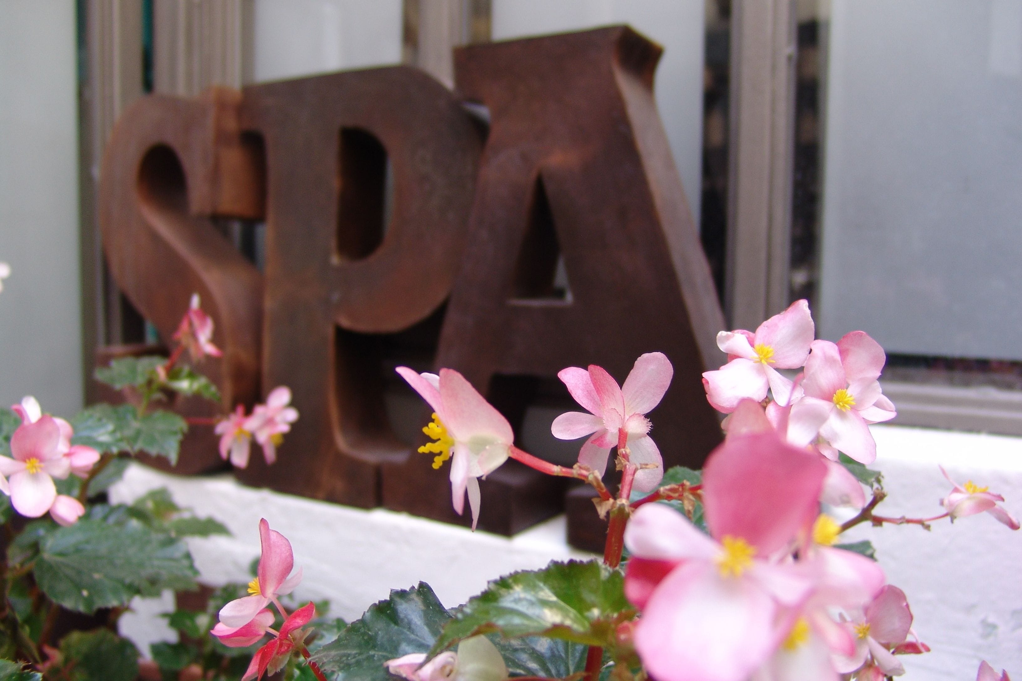 Photo - La Casa del Atrio