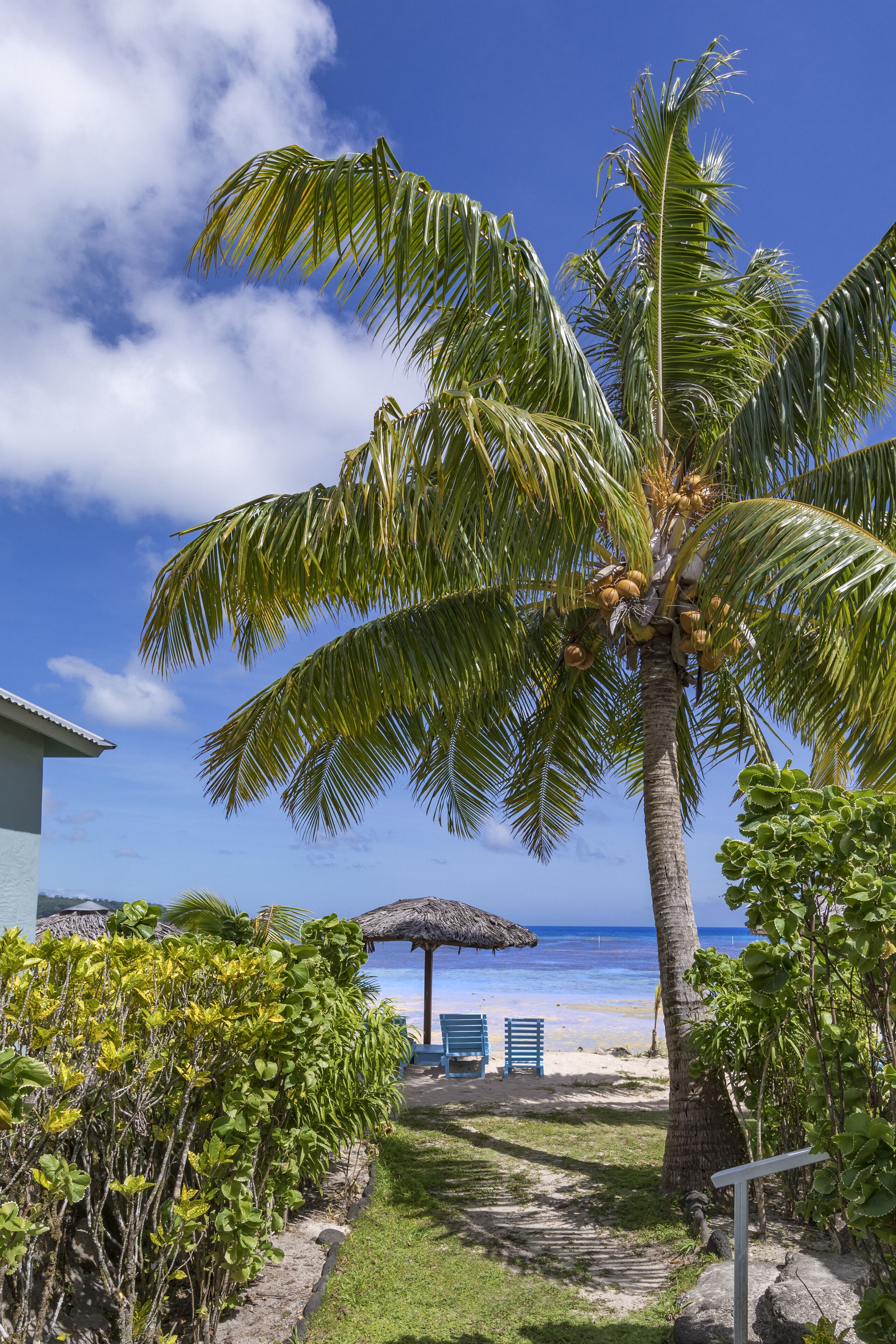 garden bungalow with seaview | beach/ocean view