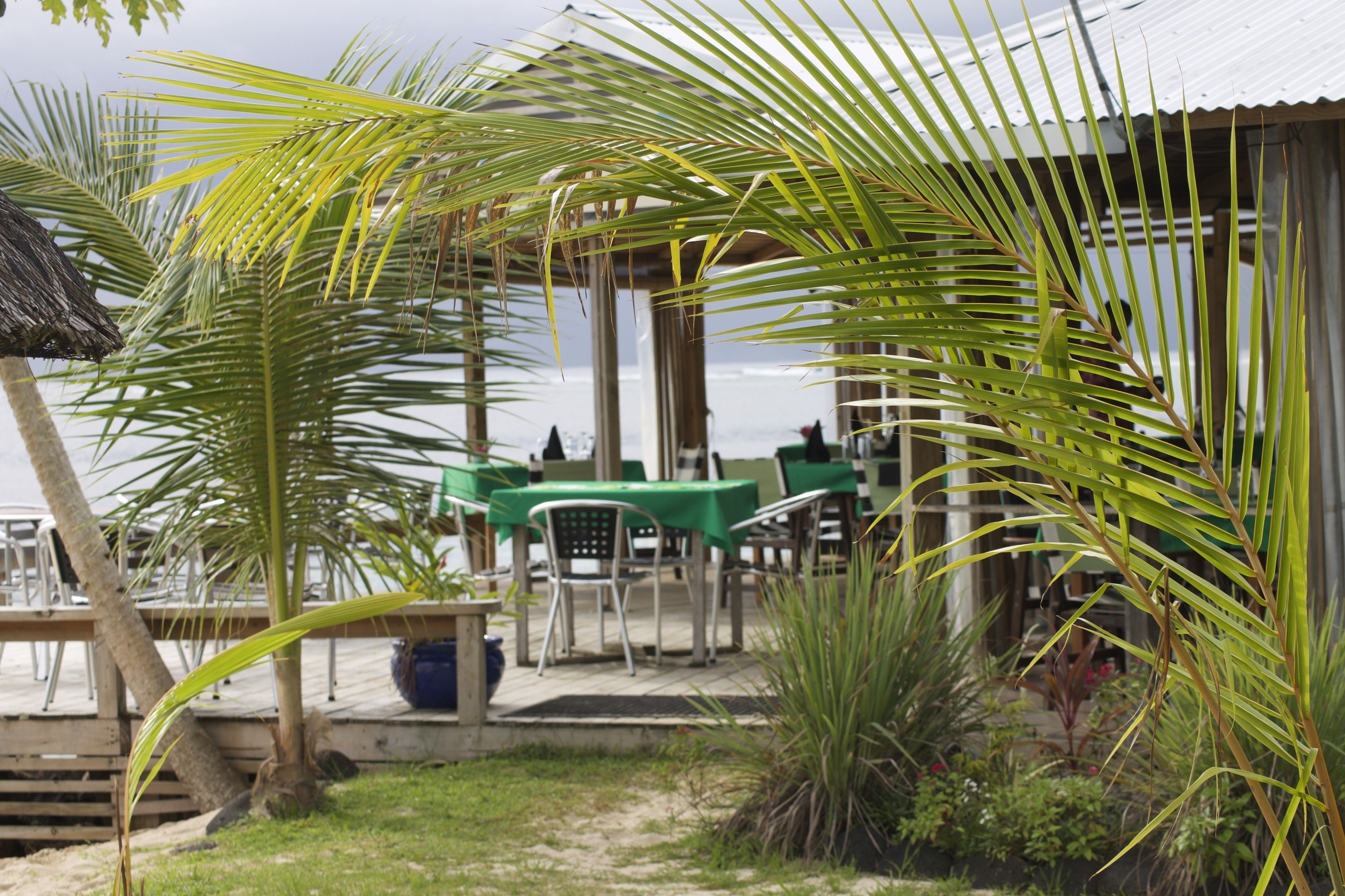 A beachside patio with outdoor seating, palm trees, and a thatched roof structure.