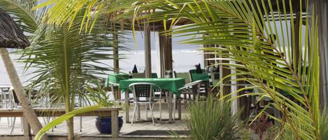 A beachside patio with outdoor seating, palm trees, and a thatched roof structure.