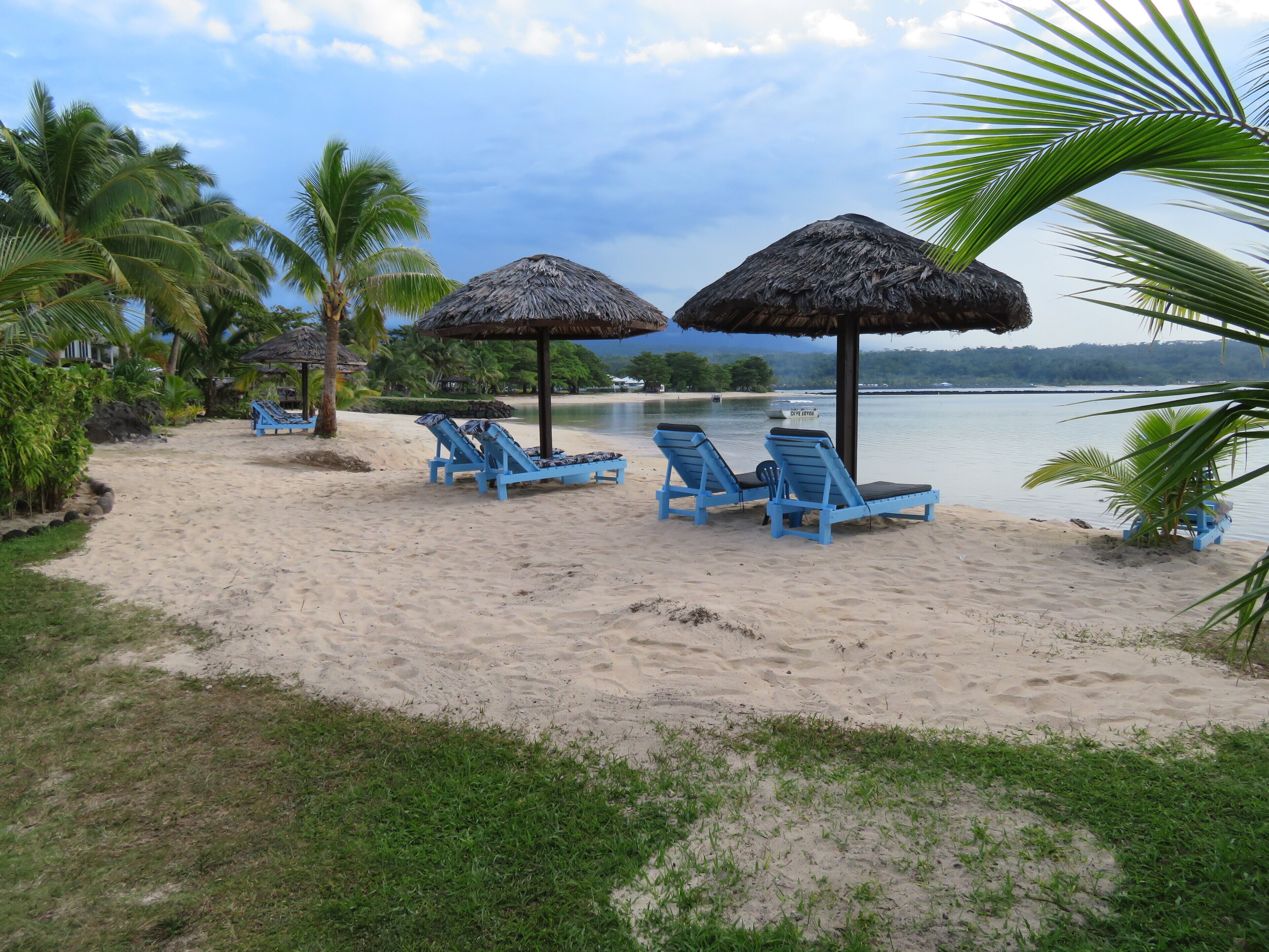 A beach with blue lounge chairs and thatched umbrellas, palm trees, and a calm sea.