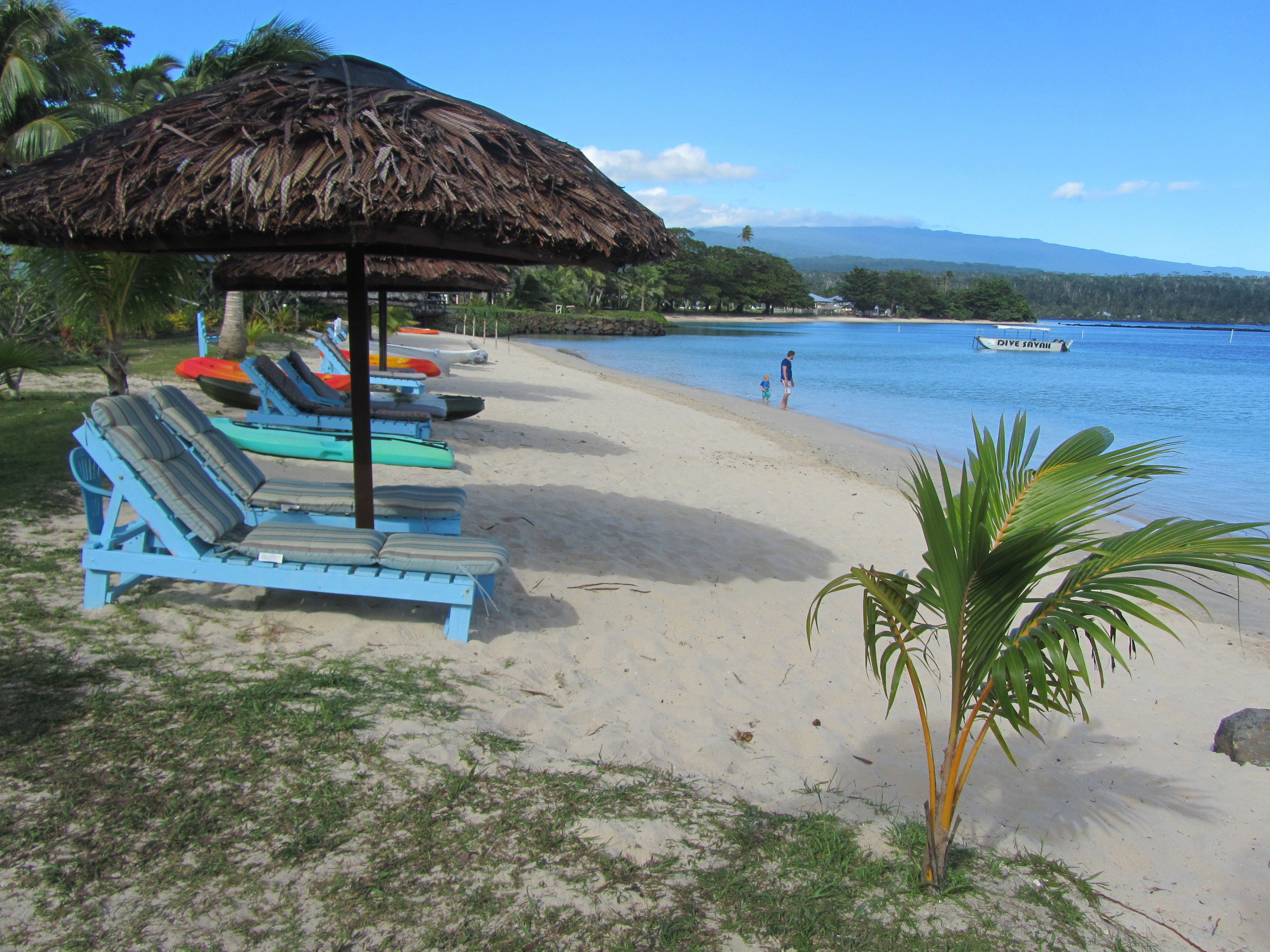 Una playa con sillas de descanso y una sombrilla de paja, una pequeña palmera y un barco llamado 'DIVE SAVAUI' en el agua.