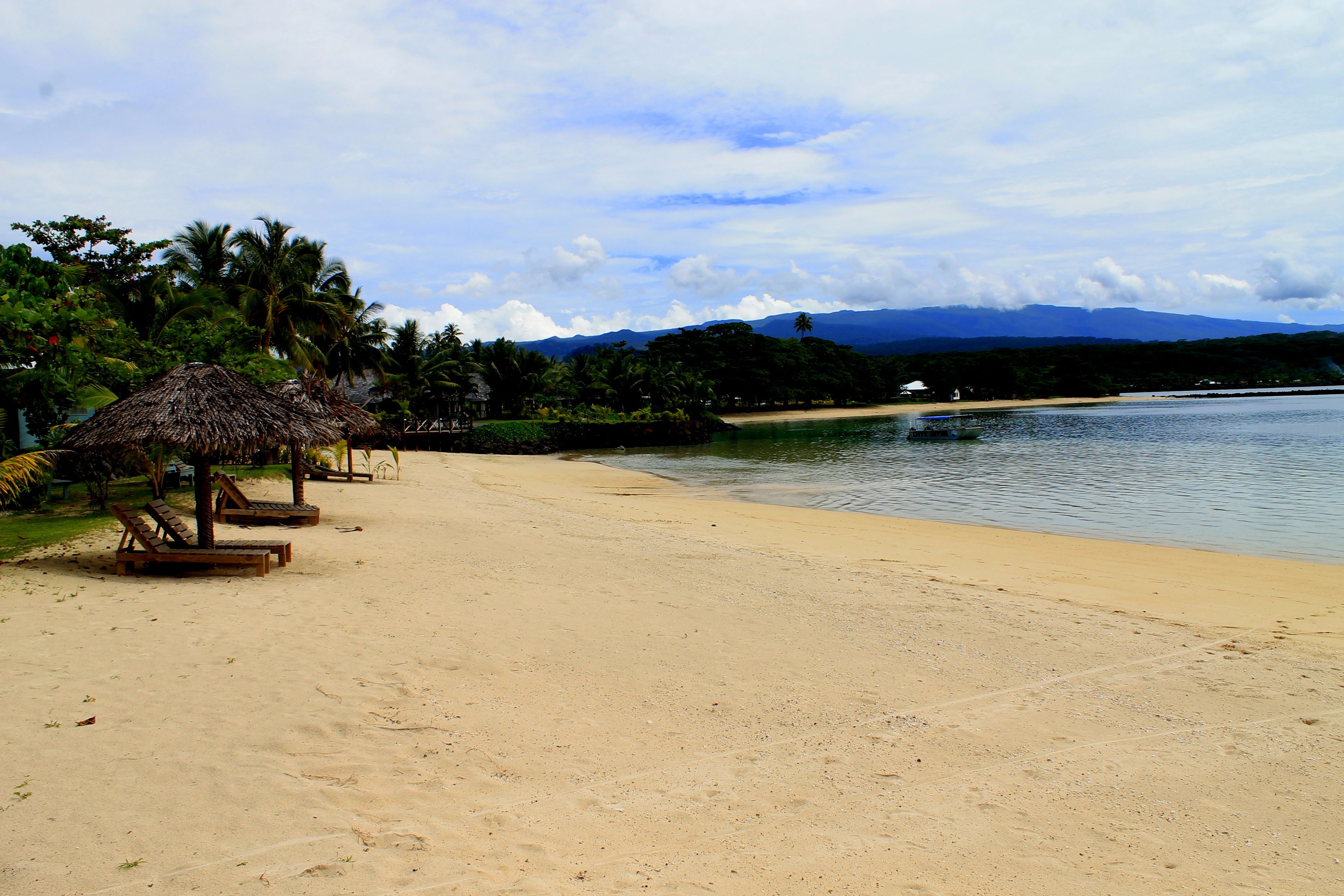 A beach with thatched-roof huts, palm trees, and a calm sea.