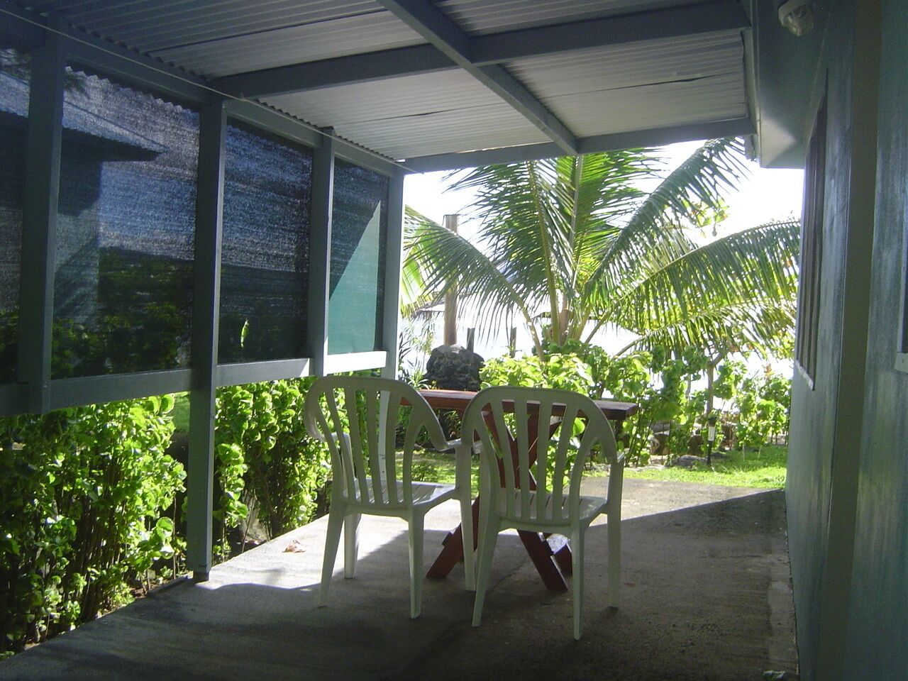 Un espace extérieur abrité, doté d’une table et de chaises, entouré de verdure et d’un palmier.