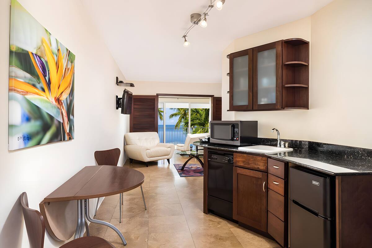 aquamarina deluxe sea view suite | private kitchen | fridge, microwave, dishwasher, coffee/tea maker