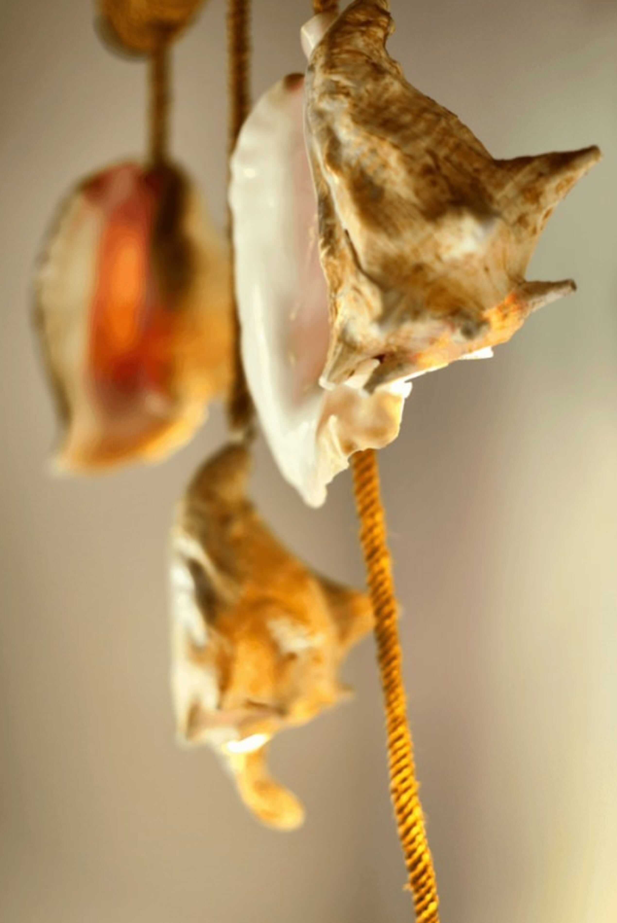 1 bedroom, in-room safe, desk, free wifi