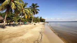 Una playa con palmeras, una hamaca y una estructura con techo de paja.