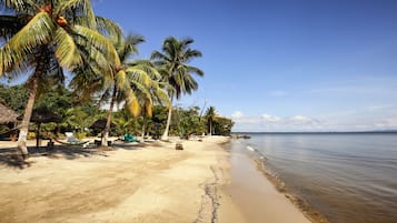 Private beach nearby, beach shuttle, sun-loungers, beach umbrellas