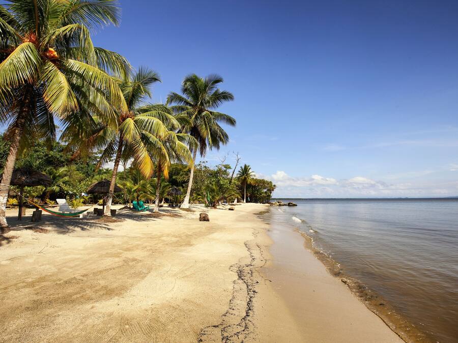 A beach with palm trees, a hammock, and a thatched-roof structure.