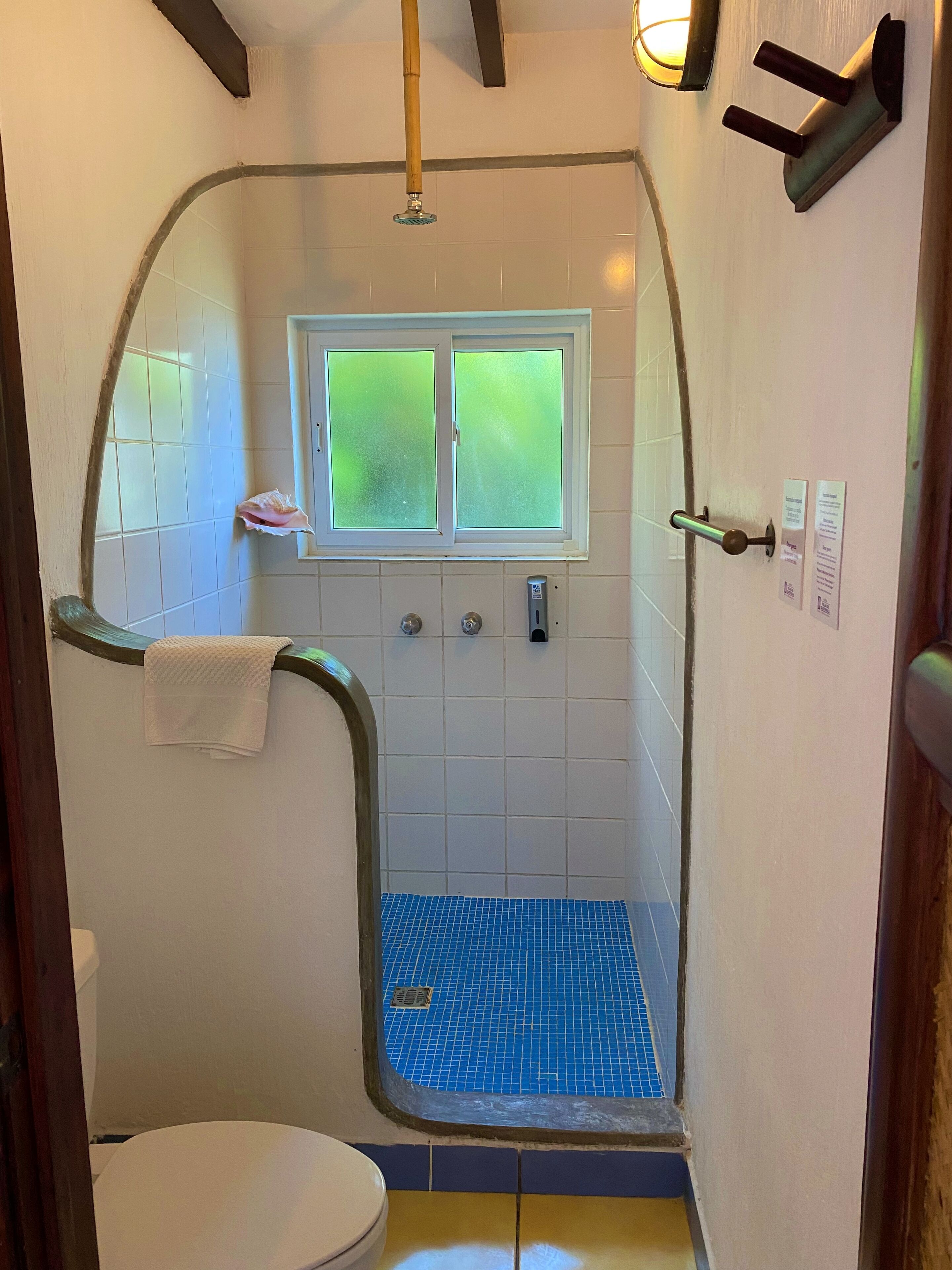Baño con ducha, inodoro y ventana.