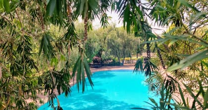 Umaid Palace- An Organic Retreat