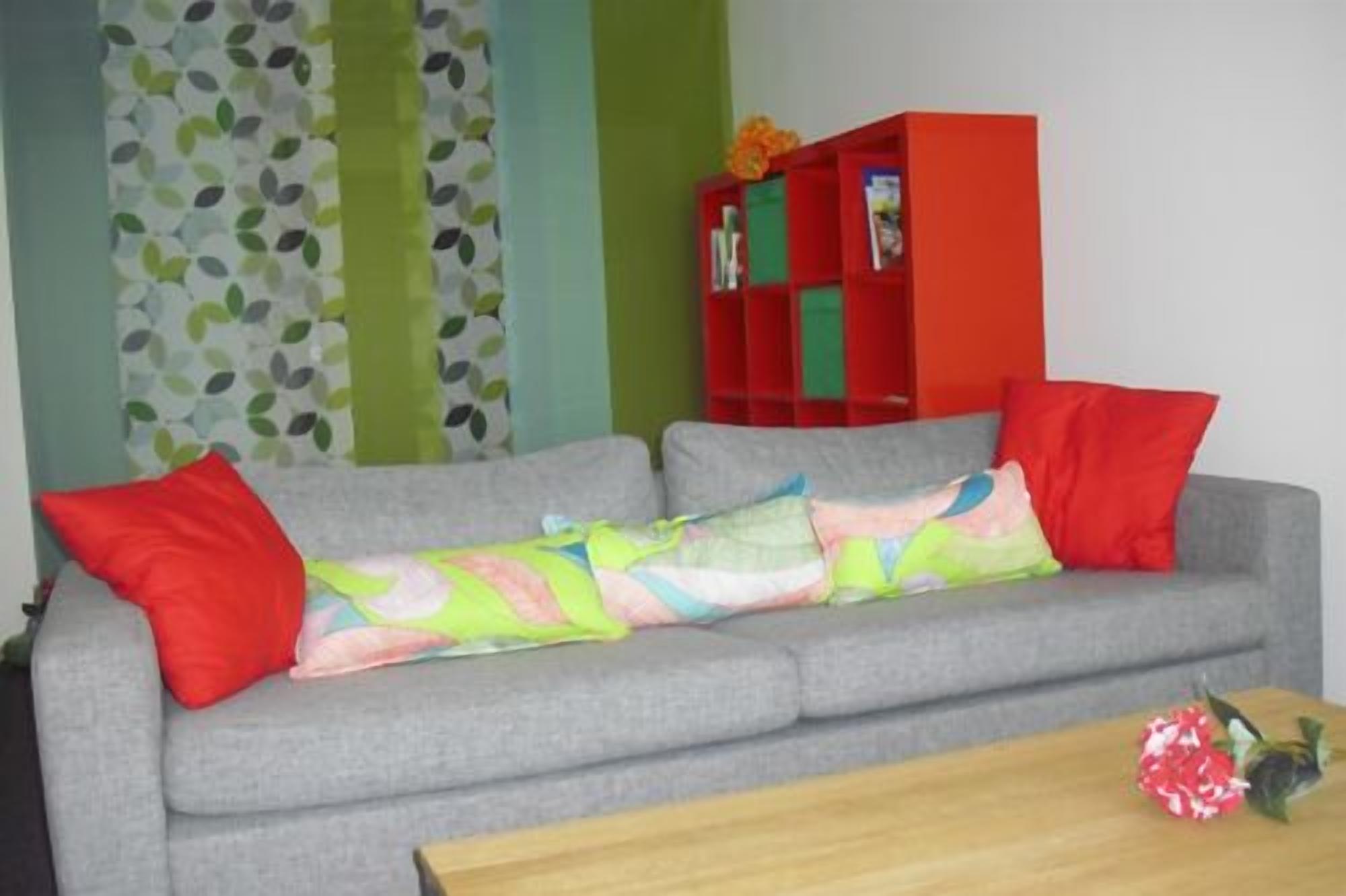 A grey sofa with colorful cushions, a red bookshelf, and a wooden coffee table.