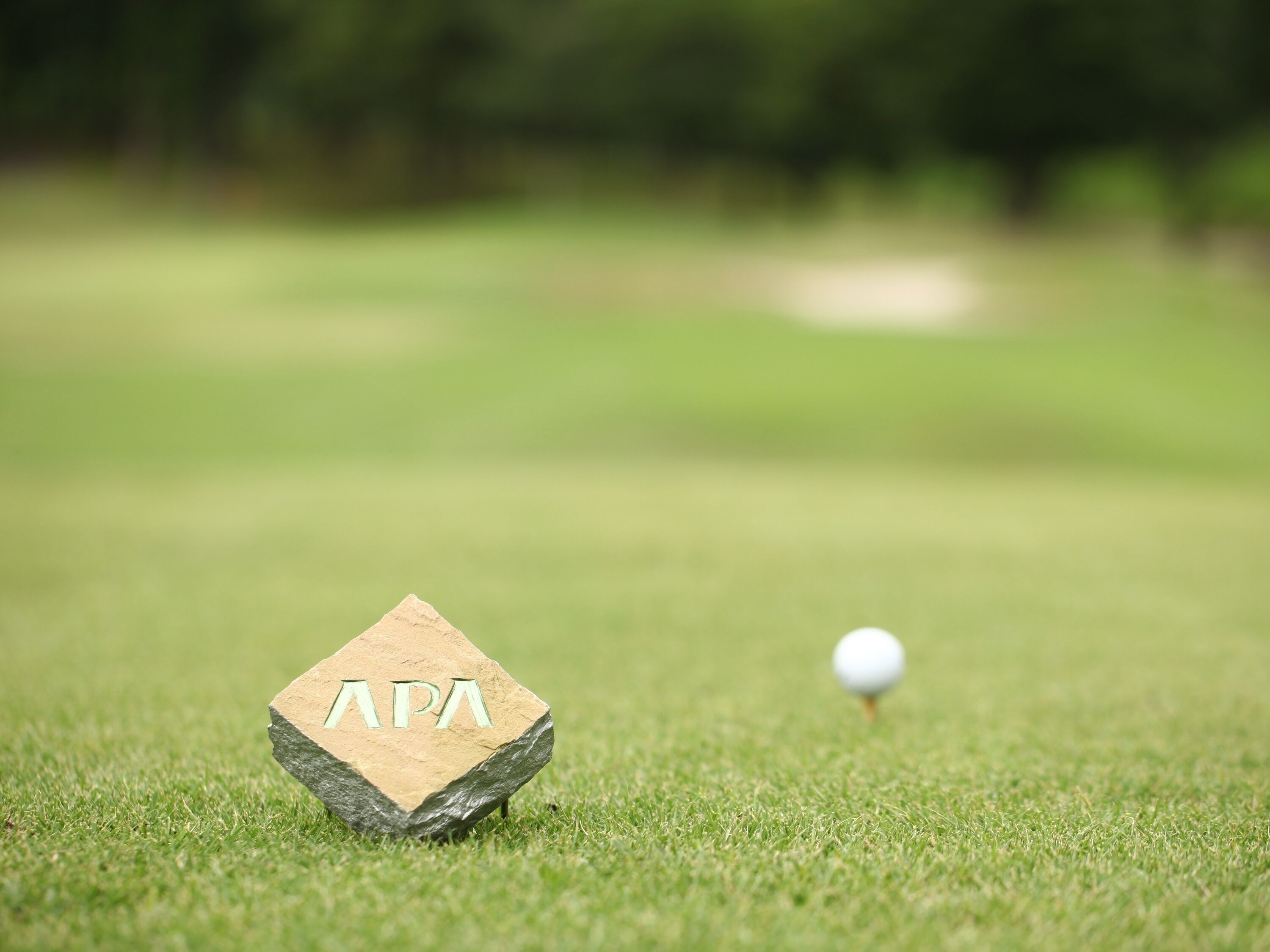A golf ball on a green with a stone marker labeled "APA".