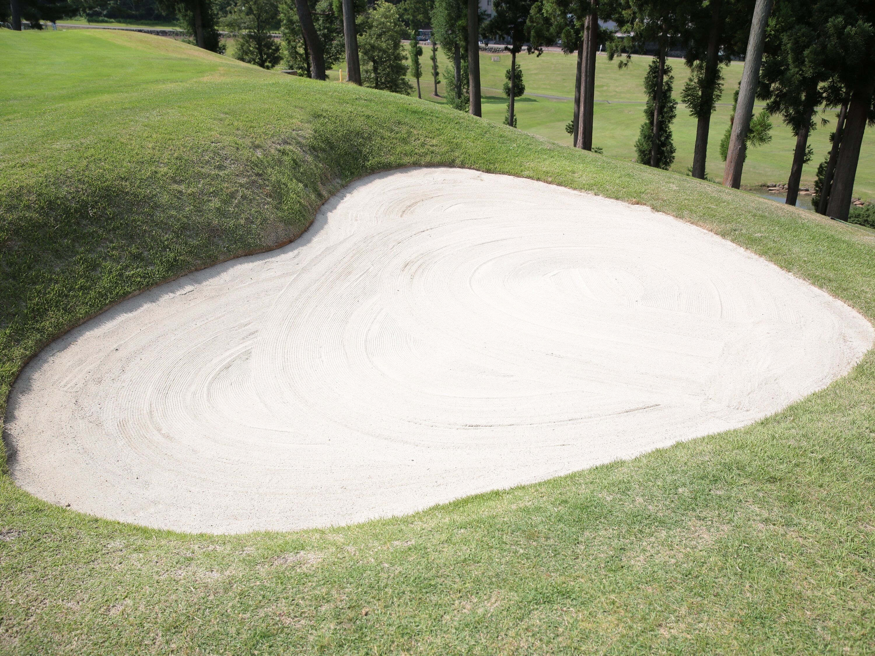 A golf course with a sand bunker and a grassy area.