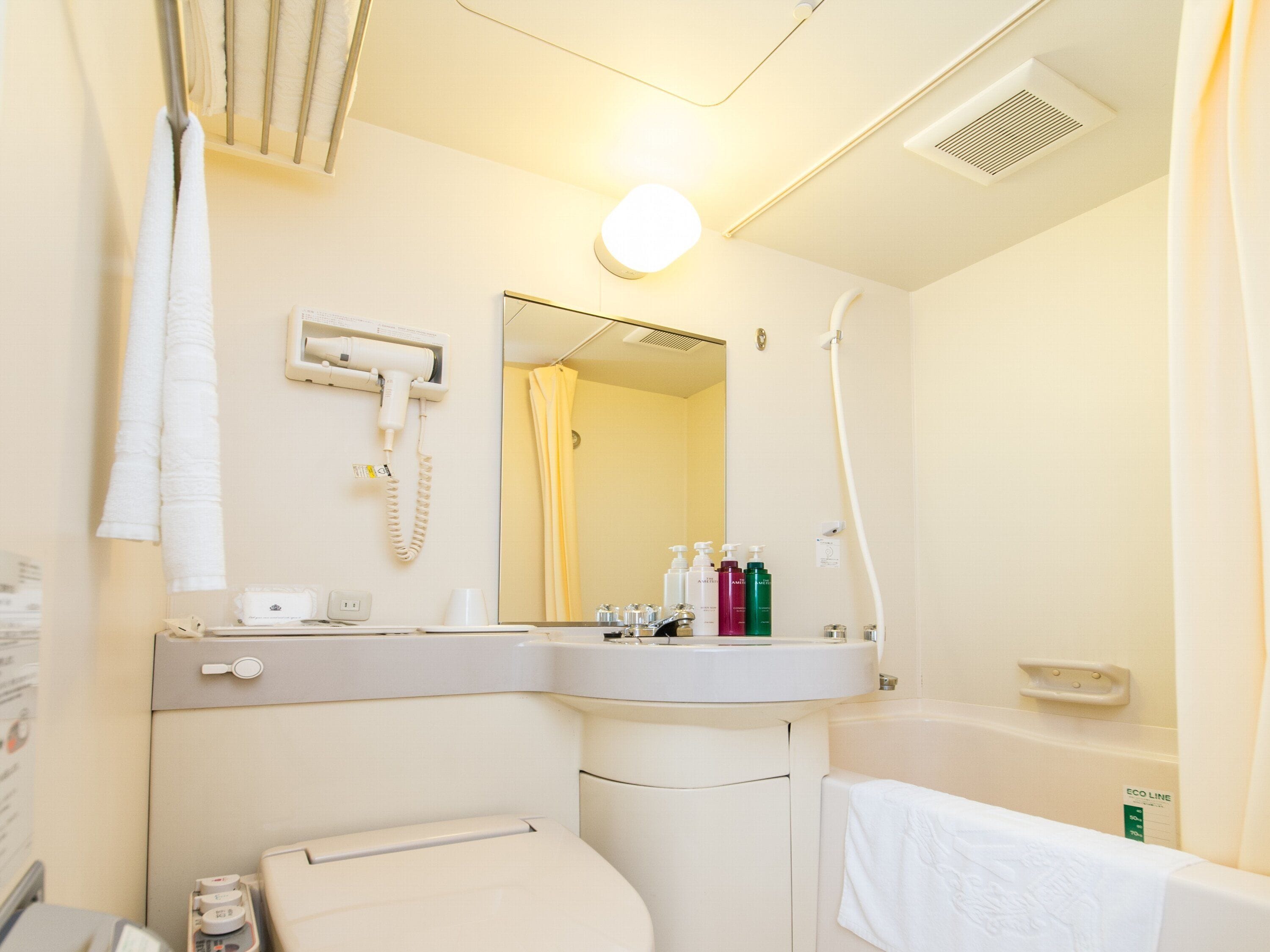 Duschwanne, Komfortbadewanne, kostenlose Toilettenartikel, Haartrockner