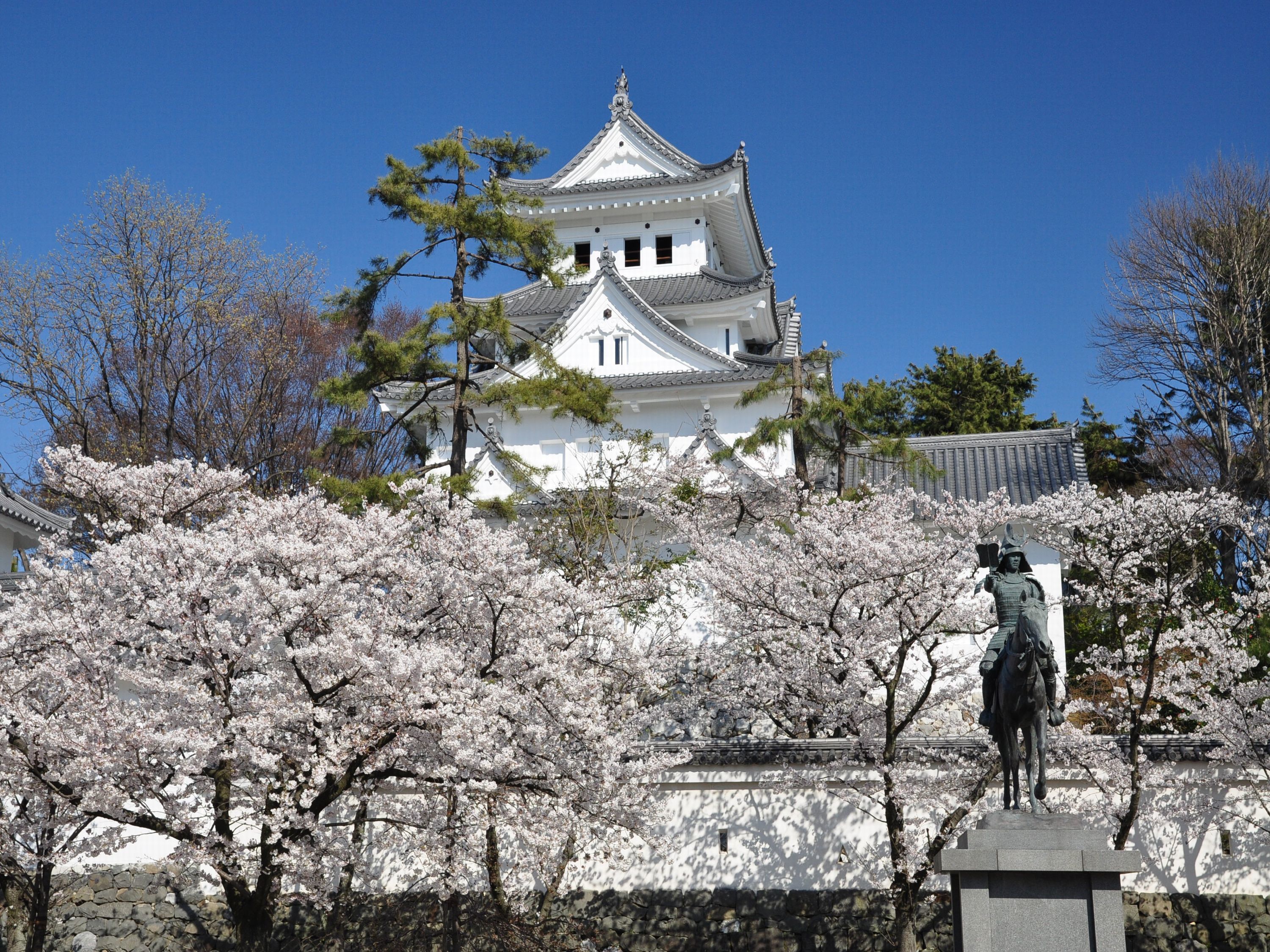 A traditional Japanese castle with white walls and a tiled roof, surrounded by cherry blossom trees.