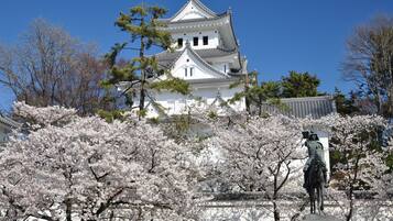 A traditional Japanese castle with white walls and a tiled roof, surrounded by cherry blossom trees.
