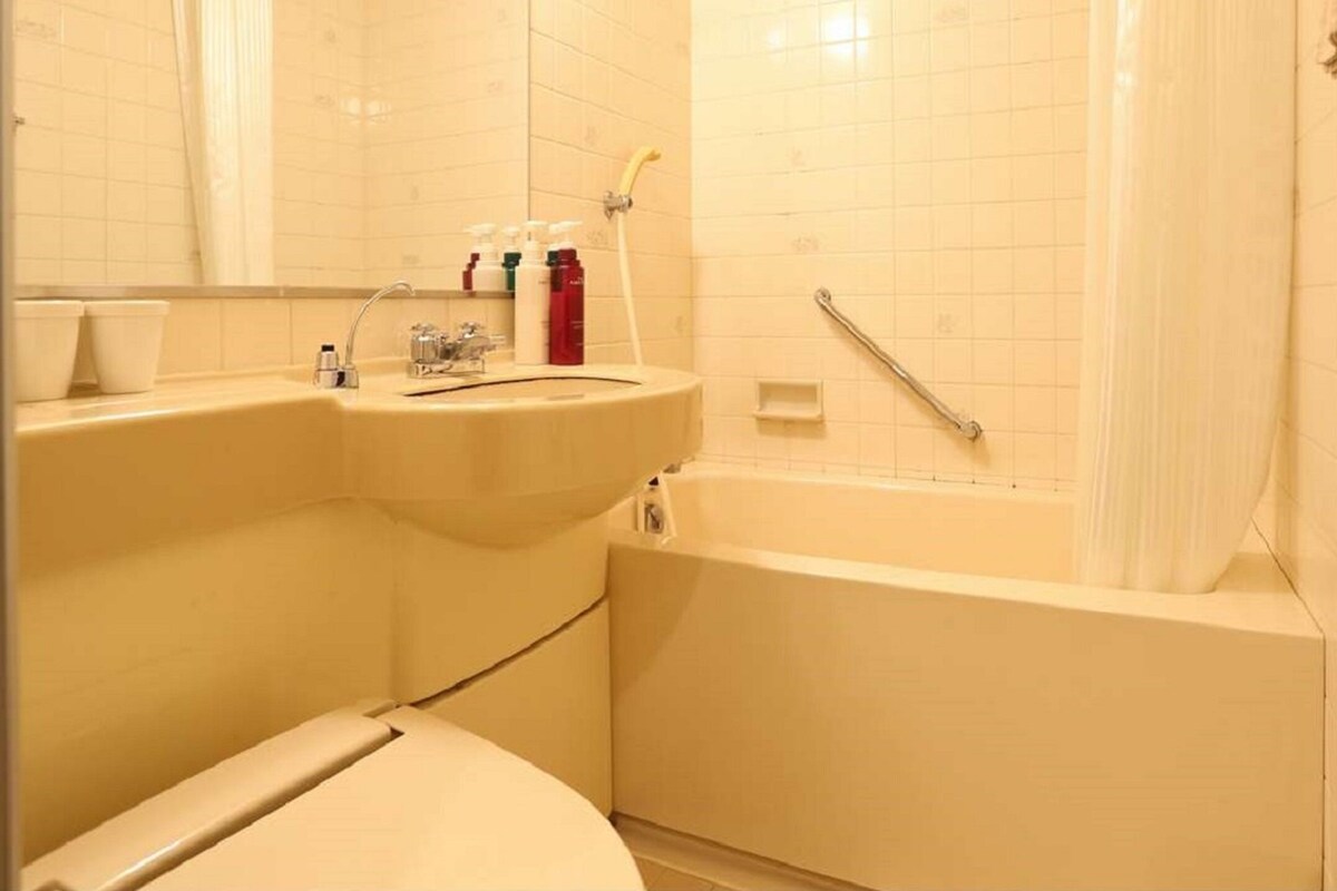 Combined shower/bathtub, free toiletries, hair dryer, slippers