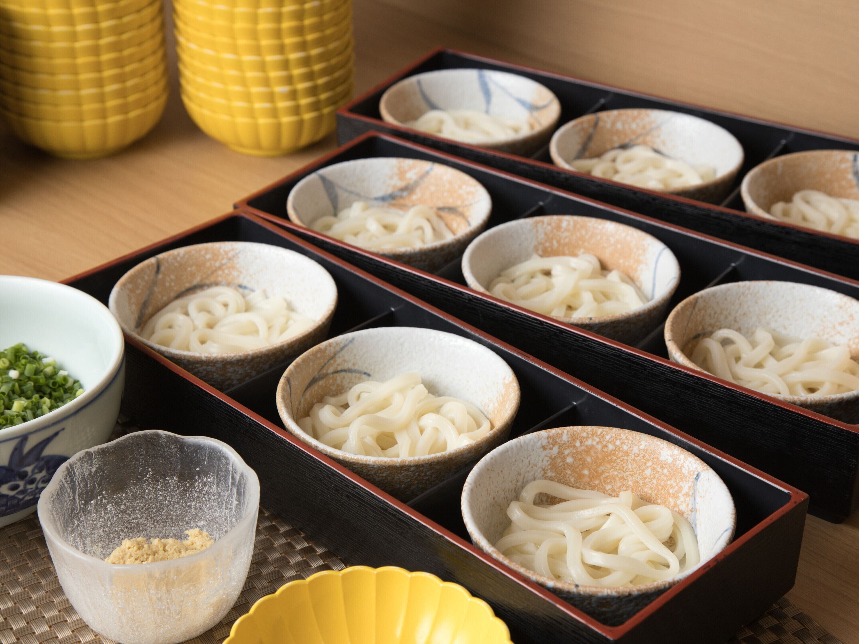 A set of traditional Japanese bowls with noodles, a small bowl of green onions, and a bowl of what appears to be a seasoning or sauce.
