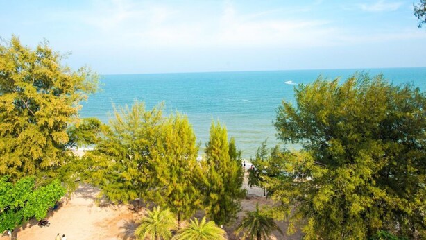 Vista de una playa con árboles y cielo despejado.