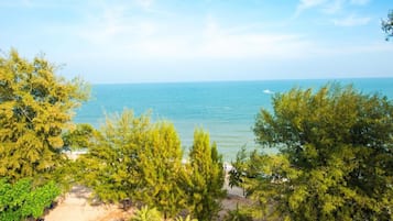 Vue depuis l’hébergement