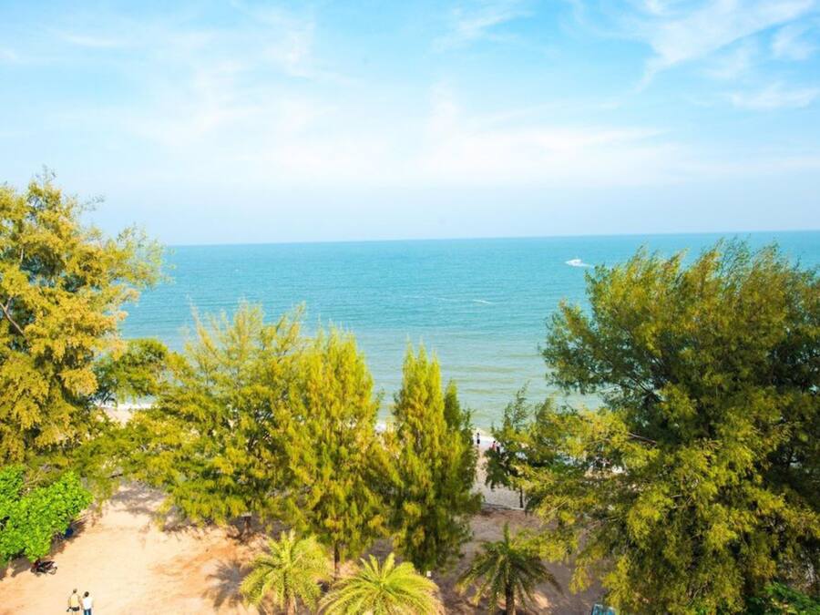 Vista desde la propiedad