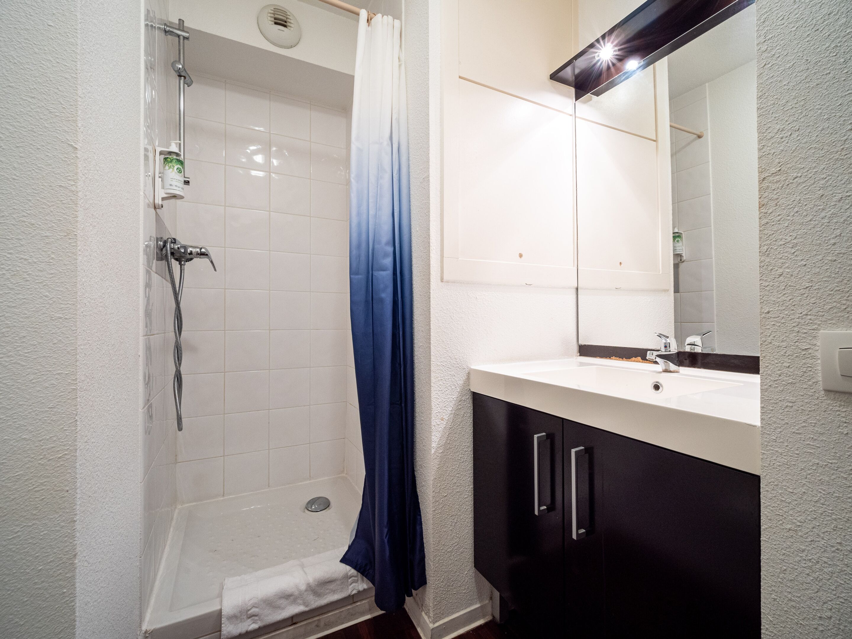 Une salle de bain avec une douche, un lavabo et un miroir.