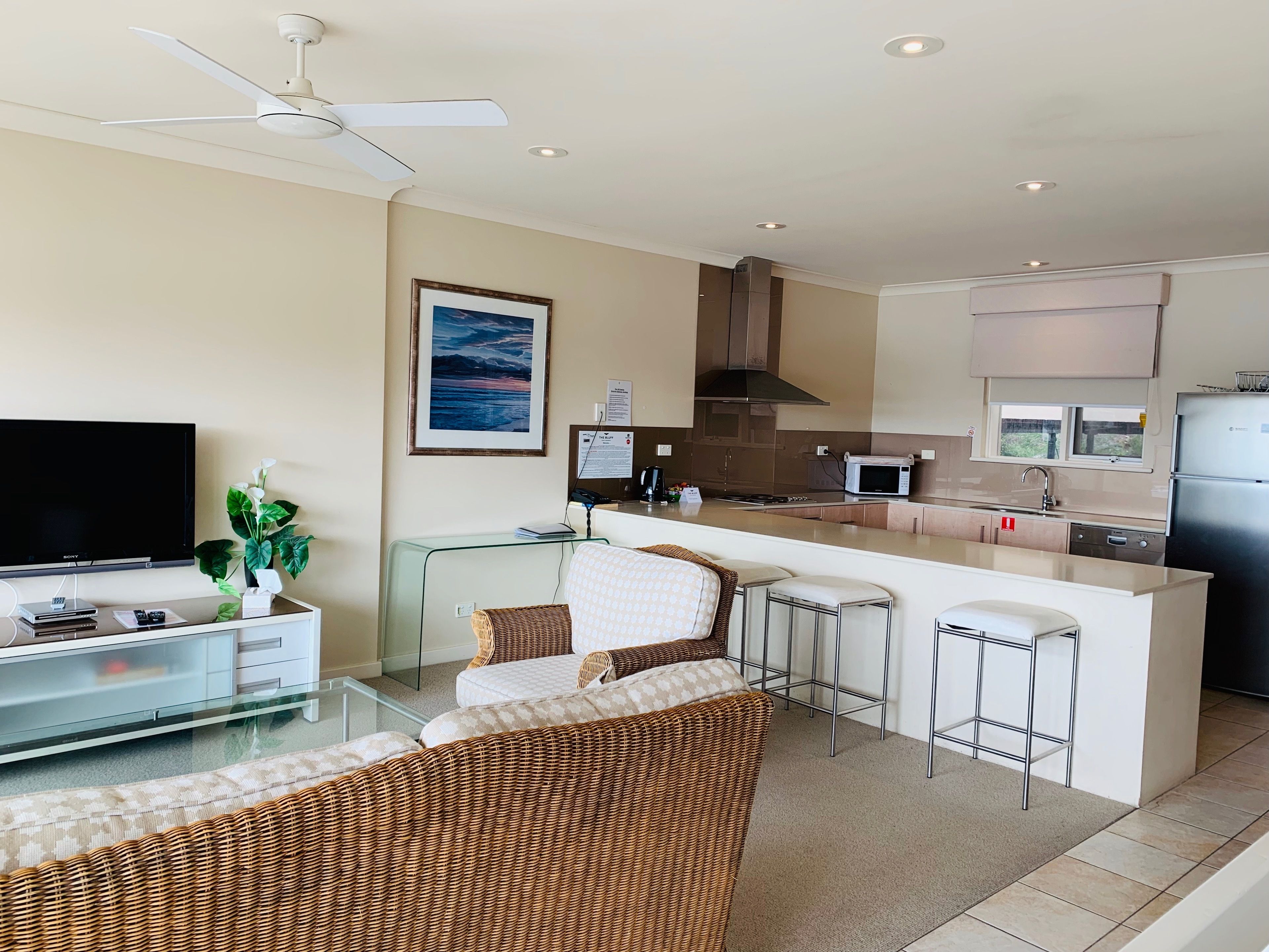 apartment with large bath no spa | living area | tv