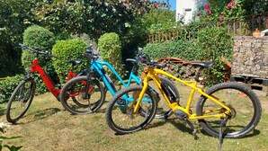 Tre biciclette parcheggiate su un prato, con un muro in pietra e una recinzione metallica sullo sfondo.