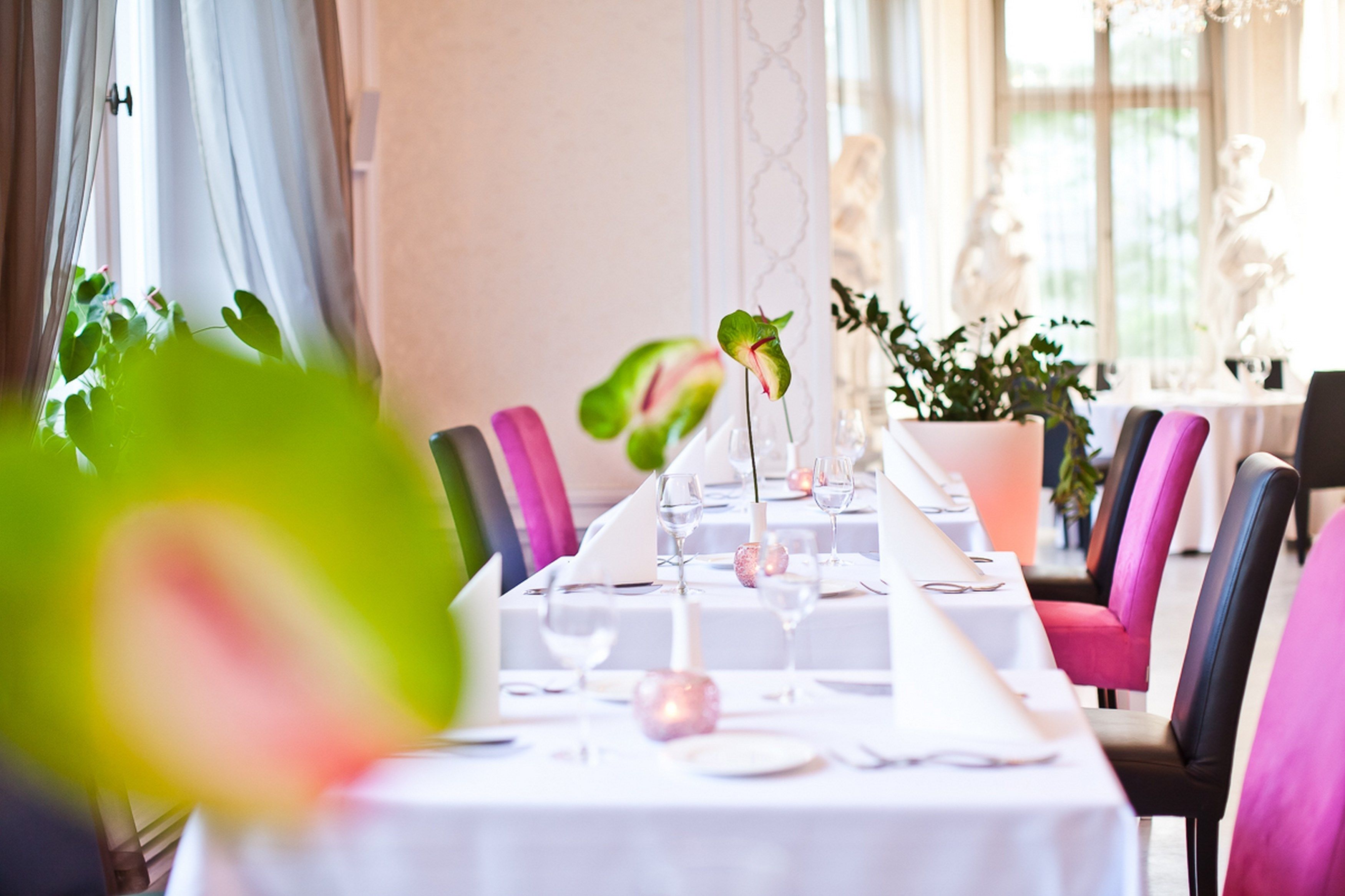 Foto - Platinum Palace Boutique Hotel & SPA