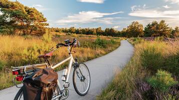 Ein Fahrrad steht auf einem befestigten Weg, umgeben von einer natürlichen Landschaft.