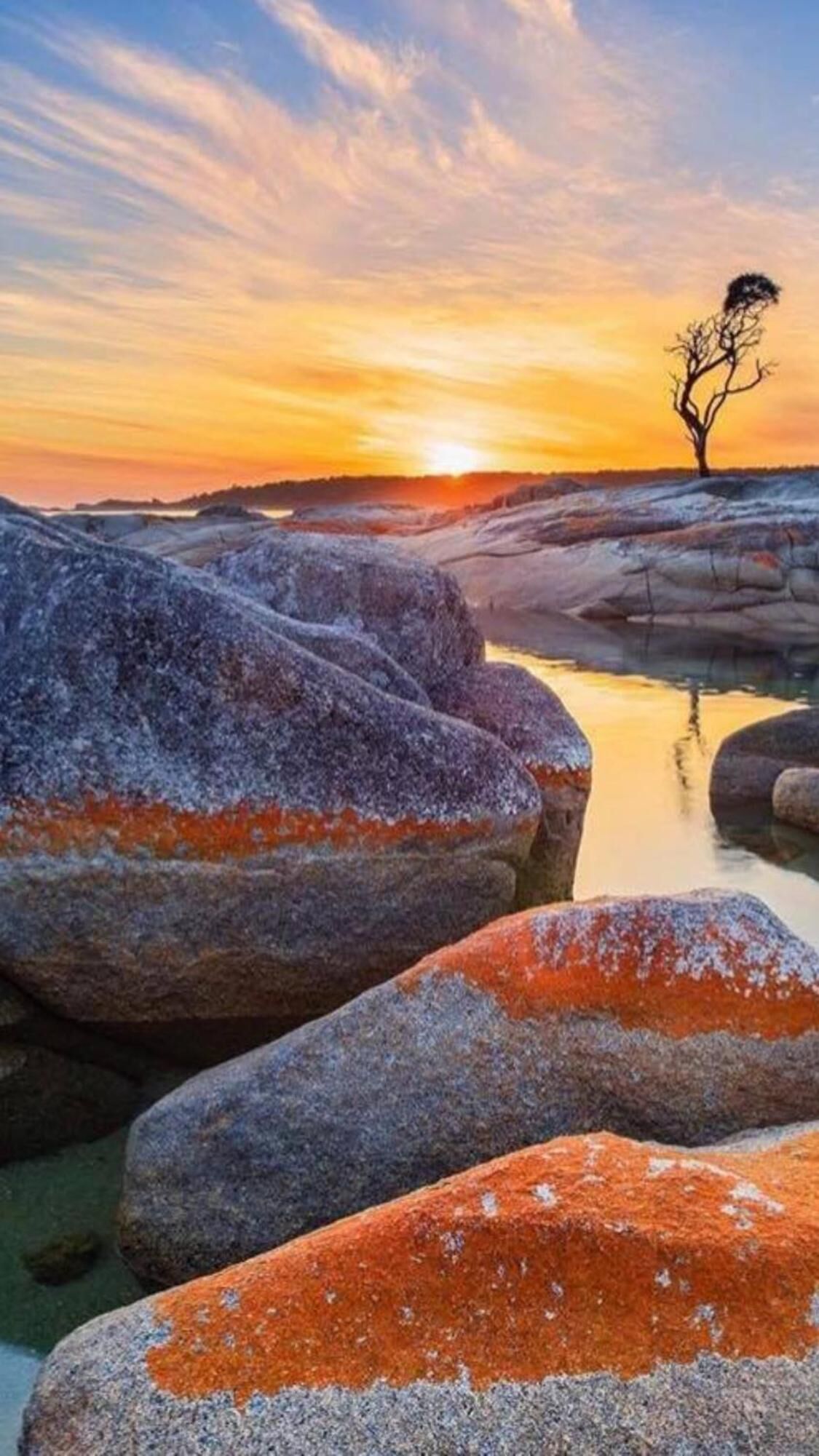 Un coucher de soleil sur un paysage rocheux, avec la silhouette d’un arbre.