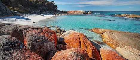 Playa en los alrededores 